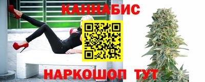 мяу мяу мука Кингисепп