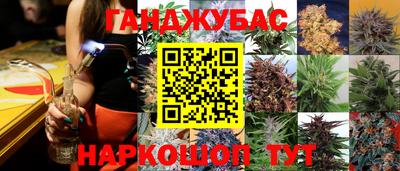 мяу мяу мука Кингисепп